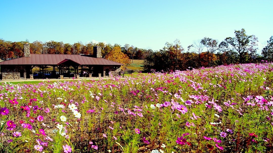 The Preserve at Crooked Run